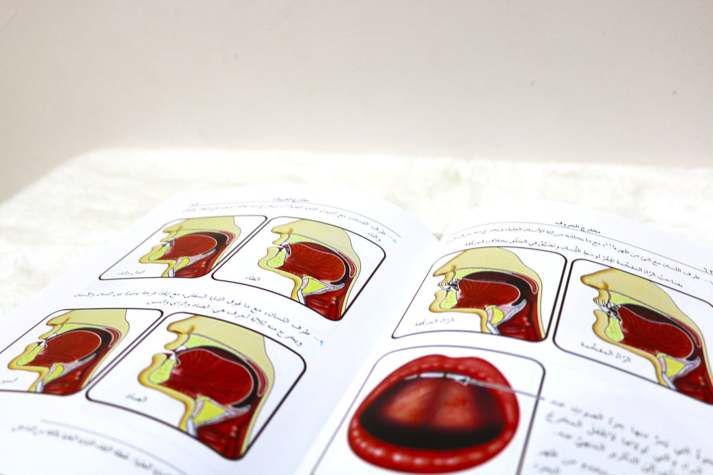 المنير في أحكام التجويد