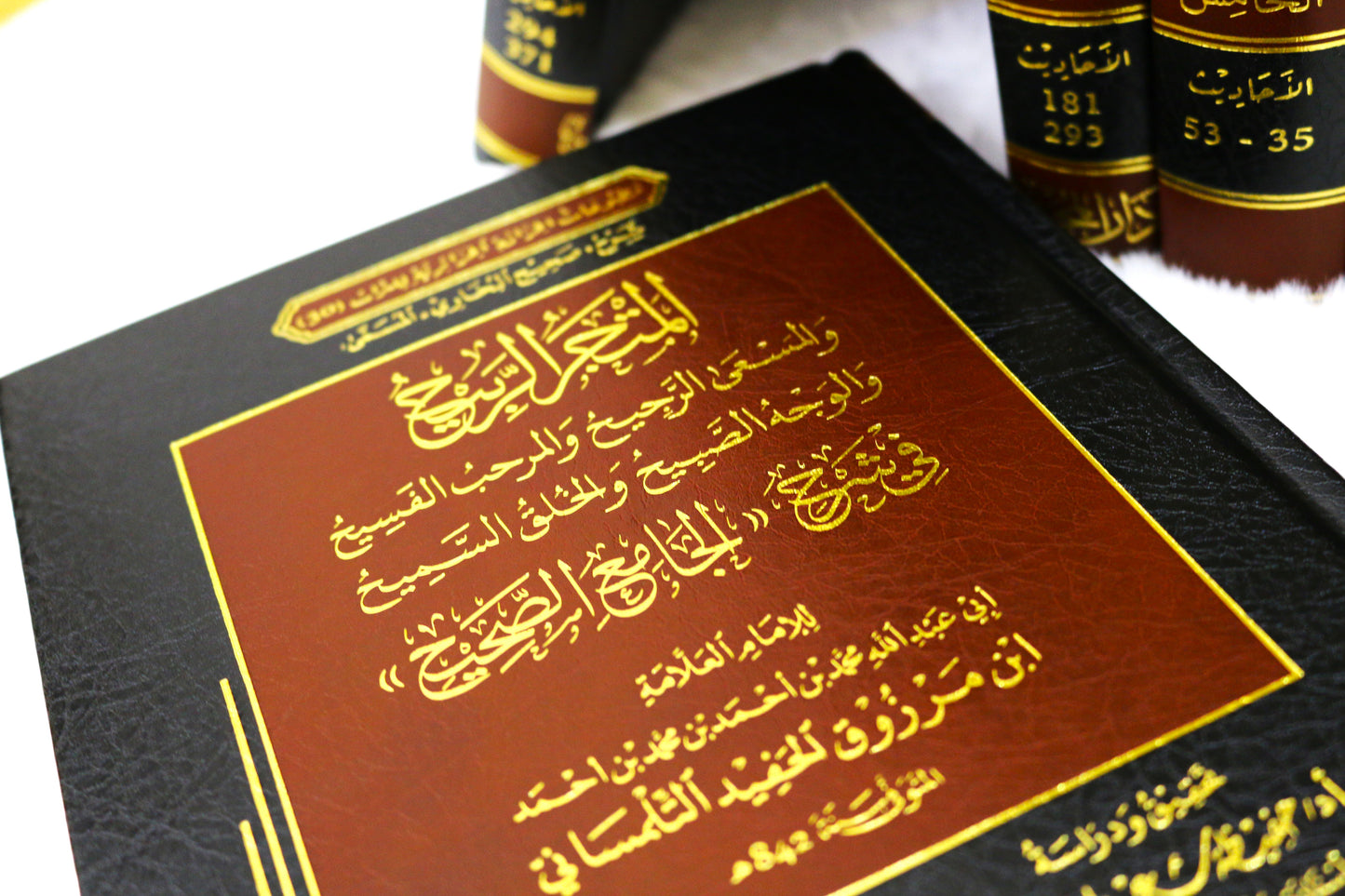 المتجر الربيح والمسعى الرجيح والمرحب الفسيح والوجه الصبيح والخلق السميح في شرح (الجامع الصحيح)