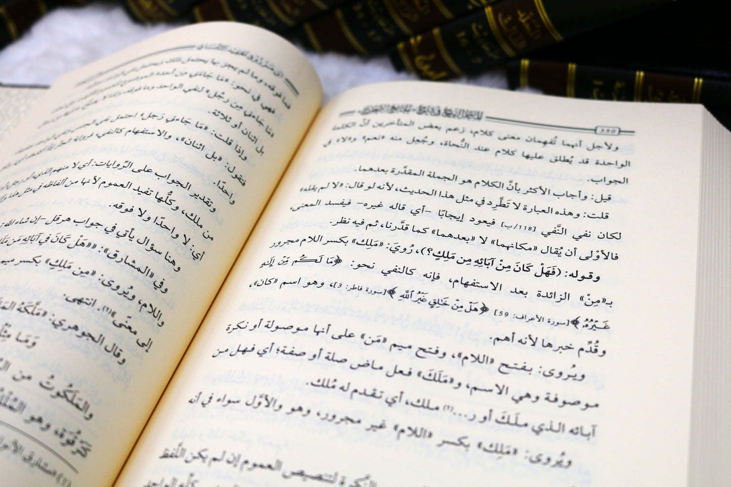 المتجر الربيح والمسعى الرجيح والمرحب الفسيح والوجه الصبيح والخلق السميح في شرح (الجامع الصحيح)